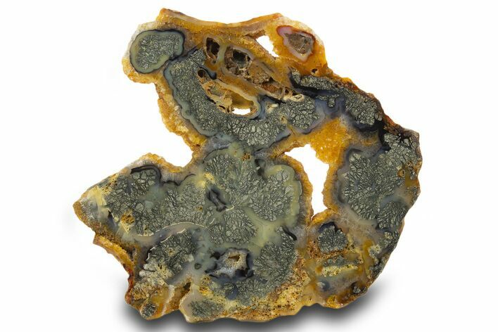 Colorful Polished Marcasite Agate Slab - Indonesia #334897